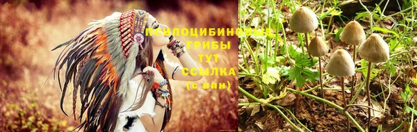 гашиш Алексеевка